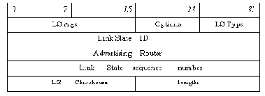  LSA
